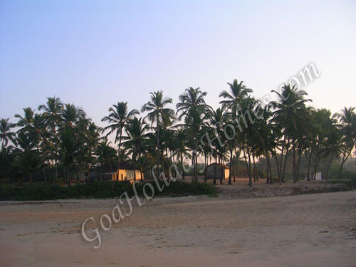 Cansaulim Beach in Goa in Goa