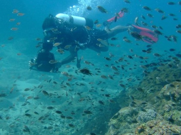 Goa diving in Goa