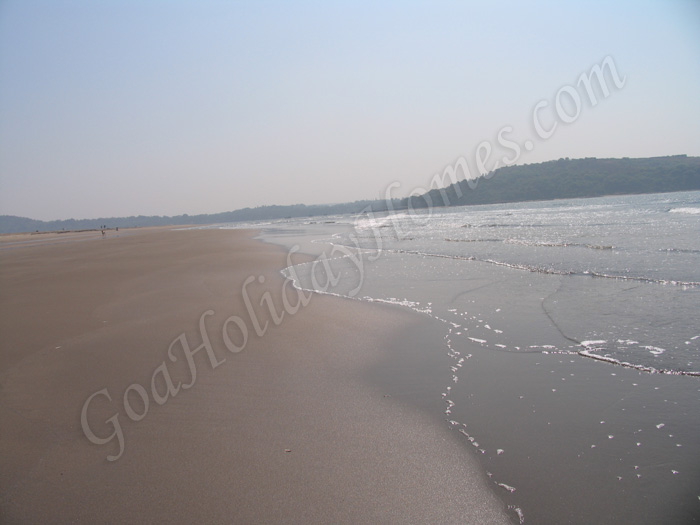 Morjim Beach In Goa in Goa