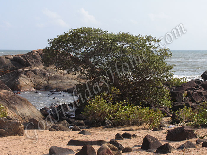 Colom beach in Goa