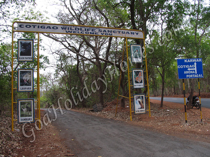 Cotigao Wildlife Sanctuary in Goa