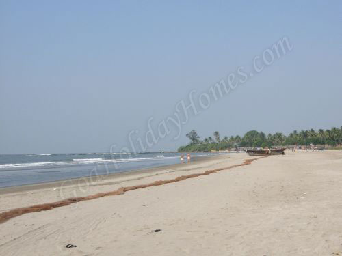 Morjim Beach In Goa in Goa