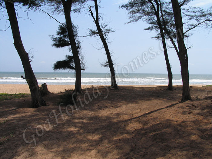 Talpona Beach in Goa